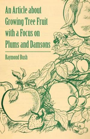 Cover of the book An Article about Growing Tree Fruit with a Focus on Plums and Damsons by Johann Sebastian Bach