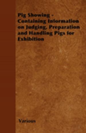 bigCover of the book Pig Showing - Containing Information on Judging, Preparation and Handling Pigs for Exhibition by 