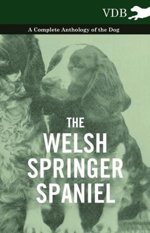 Cover of the book The Welsh Springer Spaniel - A Complete Anthology of the Dog by Vincent Pisek
