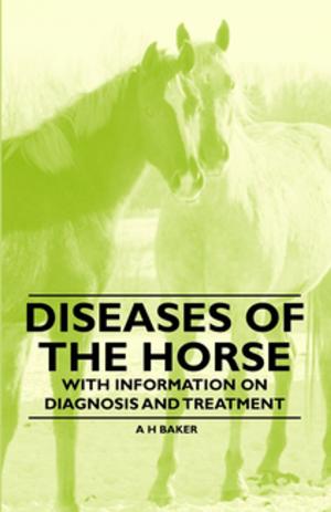 Book cover of Diseases of the Horse - With Information on Diagnosis and Treatment
