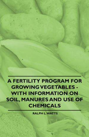 bigCover of the book A Fertility Program for Growing Vegetables - With Information on Soil, Manures and Use of Chemicals by 