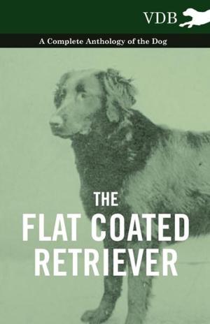 Cover of the book The Flat Coated Retriever - A Complete Anthology of the Dog by Gladys Davidson