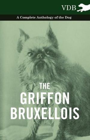bigCover of the book The Griffon Bruxellois - A Complete Anthology of the Dog by 