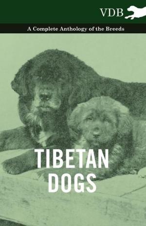 Cover of the book Tibetan Dogs - A Complete Anthology of the Breeds by J. Dieudonne