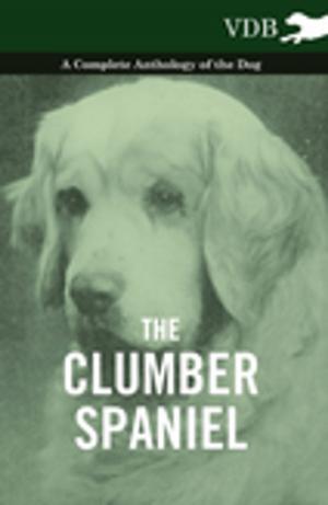 bigCover of the book The Clumber Spaniel - A Complete Anthology of the Dog - by 