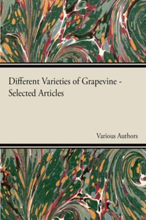 Cover of the book Different Varieties of Grapevine - Selected Articles by L. B. Hanna