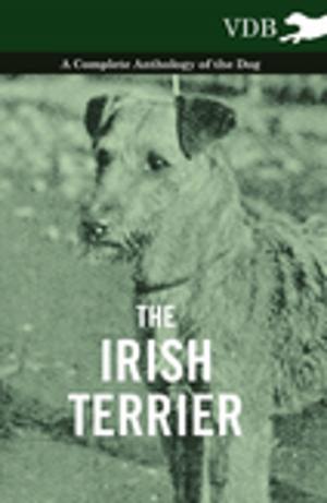 Cover of the book The Irish Terrier - A Complete Anthology of the Dog by Sigmund Freud