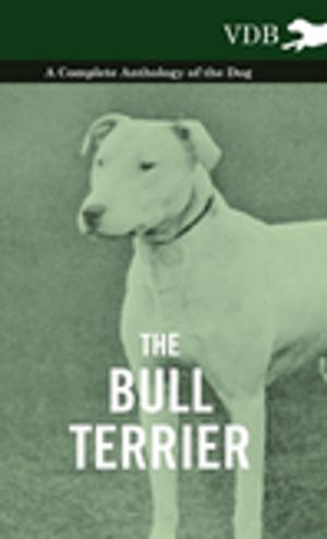 Cover of the book The Bull Terrier - A Complete Anthology of the Dog - by Anon