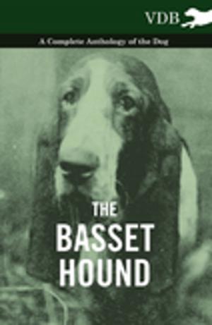 Cover of the book The Basset Hound - A Complete Anthology of the Dog - by John Dewey