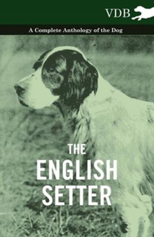 Cover of the book The English Setter - A Complete Anthology of the Dog by H. P. Lovecraft