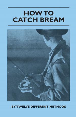 Cover of the book How to Catch Bream - By Twelve Different Methods by E. F. Benson