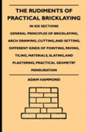 Cover of the book The Rudiments Of Practical Bricklaying - In Six Sections by Mary Brooks Picken