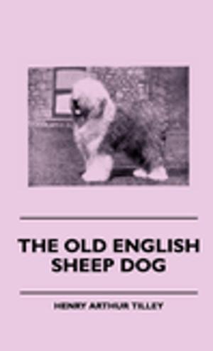 Cover of the book The Old English Sheep Dog by Anon.