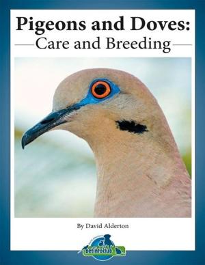 Book cover of Pigeons and Doves: Care and Breeding