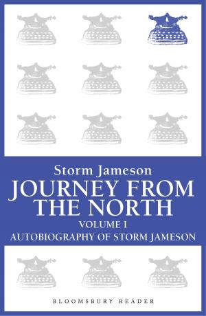 Book cover of Journey from the North, Volume 1