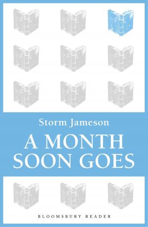 Cover of the book A Month Soon Goes by Sarah Tolcser