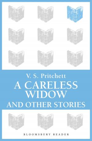bigCover of the book A Careless Widow and Other Stories by 
