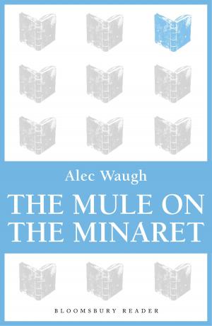 Cover of the book The Mule on the Minaret by Hozefa A Bhinderwala