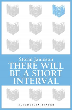 Book cover of There will be a Short Interval