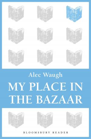 Cover of the book My Place in the Bazaar by Emily J. Lordi