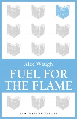 Cover of the book Fuel for the Flame by Armen Avanessian, Dr. Anke Hennig