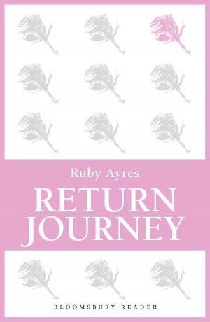 Book cover of Return Journey