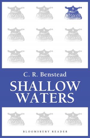 Cover of the book Shallow Waters by E.D. Baker