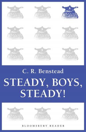 Cover of the book Steady, Boys, Steady! by Kari Vogt, Lena Larsen, Christian Moe