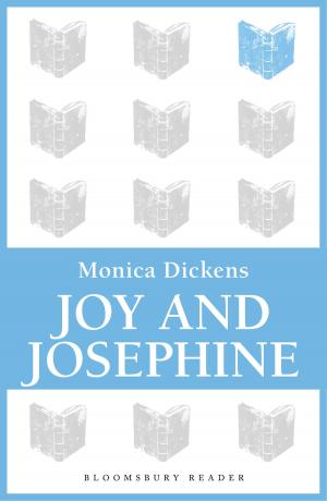 Cover of the book Joy and Josephine by Lukas Erne