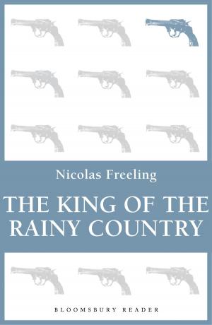 Book cover of The King of the Rainy Country