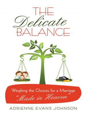 Cover of the book The Delicate Balance by Taylor Fleek