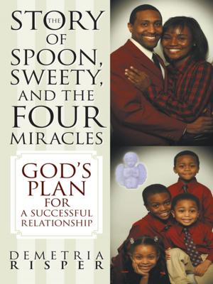 Cover of the book The Story of Spoon, Sweety, and the Four Miracles by Brooke Owens