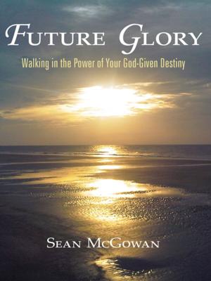 Cover of the book Future Glory by Frances Morales