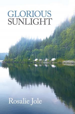 Cover of the book Glorious Sunlight by Jocelynn M. Burton