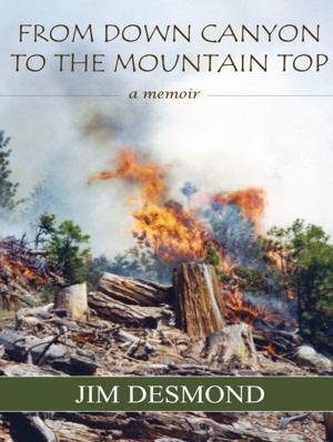 Book cover of From Down Canyon to the Mountaintop