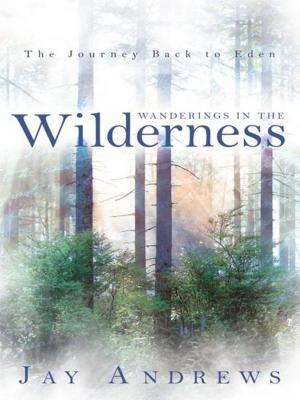 Cover of the book Wanderings in the Wilderness by Chuck Klingman