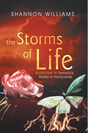 Cover of the book The Storms of Life by Malena Lovall