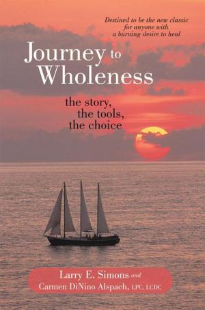 Cover of the book Journey to Wholeness by Robert Shelton DMin