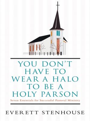 bigCover of the book You Don’T Have to Wear a Halo to Be a Holy Parson by 