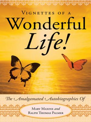 Book cover of Vignettes of a Wonderful Life!