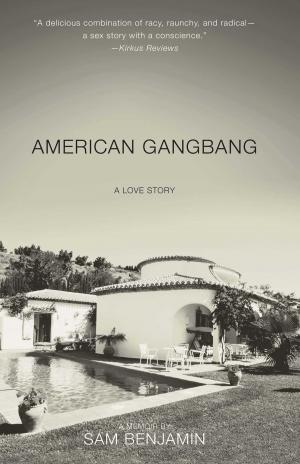 Cover of the book American Gangbang by Elisabeth de Mariaffi