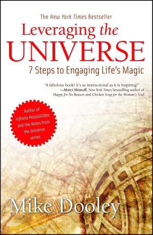 Cover of the book Leveraging the Universe by Martha Williamson
