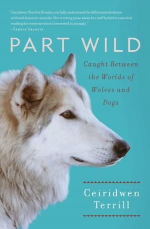 Cover of the book Part Wild by Elettra Wiedemann