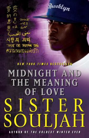 Cover of the book Midnight and the Meaning of Love by Sister Souljah