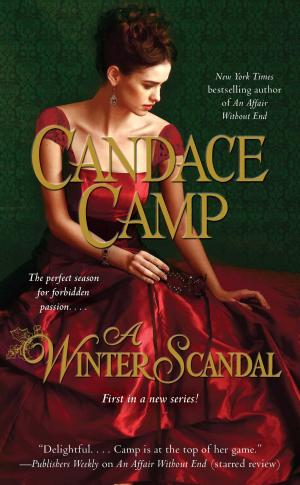 Cover of the book A Winter Scandal by V.C. Andrews