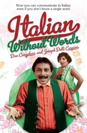 Cover of the book Italian Without Words by 
