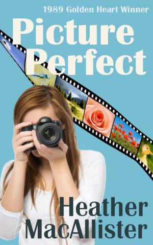 Book cover of Picture Perfect
