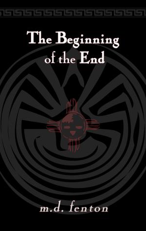 Cover of the book The Beginning of the End by Andy Lang