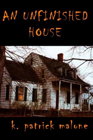 Cover of the book An Unfinished House by Patrick O'Cahir