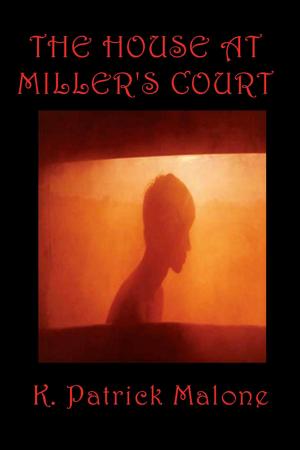 Cover of the book The House at Miller's Court by David O'Neil